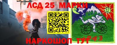 a pvp Ставрополь