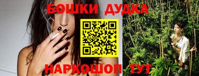 a pvp Ставрополь
