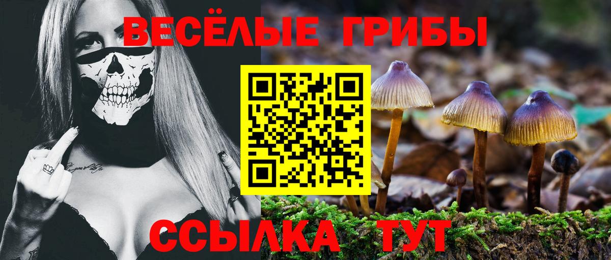 Галлюциногенные грибы Psilocybine cubensis  Вход с VPN  Псилоцибиновые грибы Cubensis  Мыски 