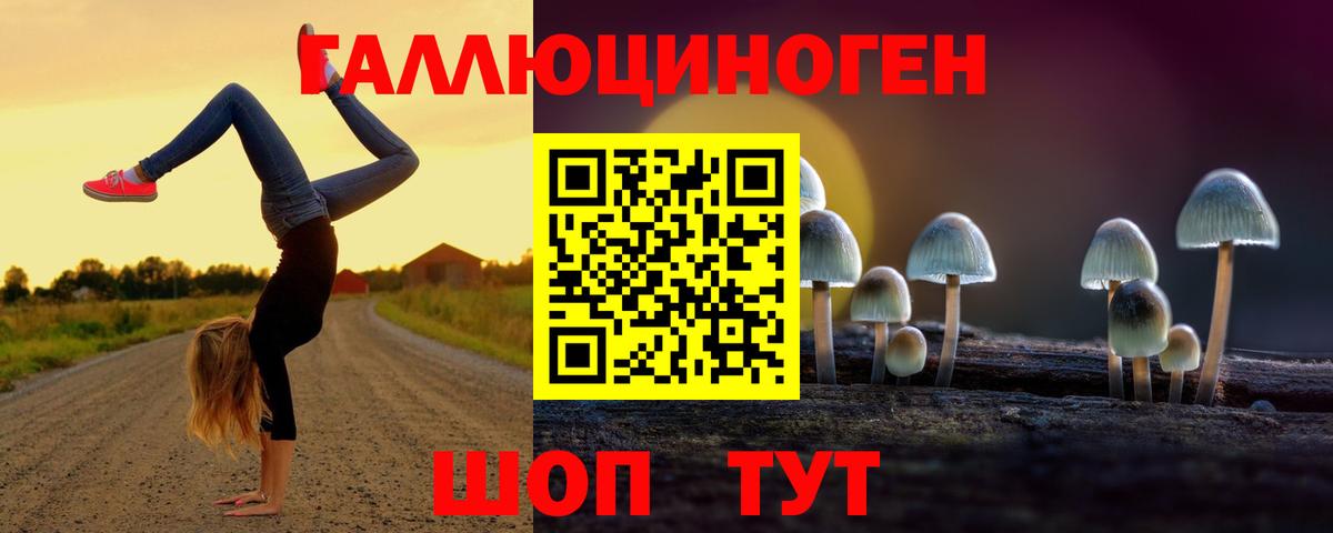 Псилоцибиновые грибы Psilocybine cubensis Мыски