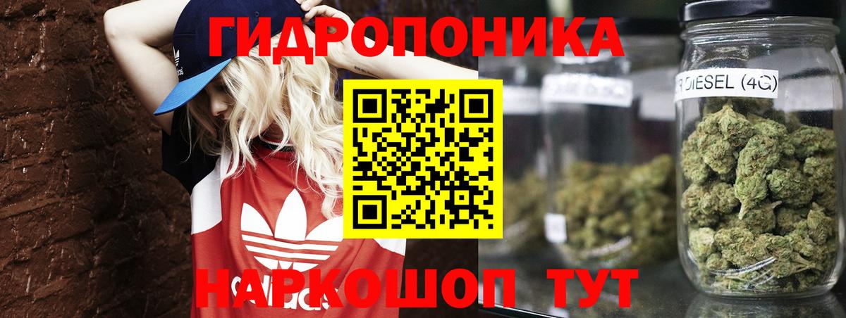 Шишки марихуана ГИДРОПОН Мыски